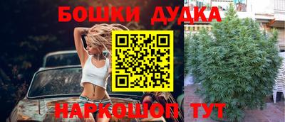 прущие крисы Лесосибирск