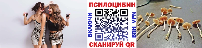 Галлюциногенные грибы GOLDEN TEACHER  Геленджик 