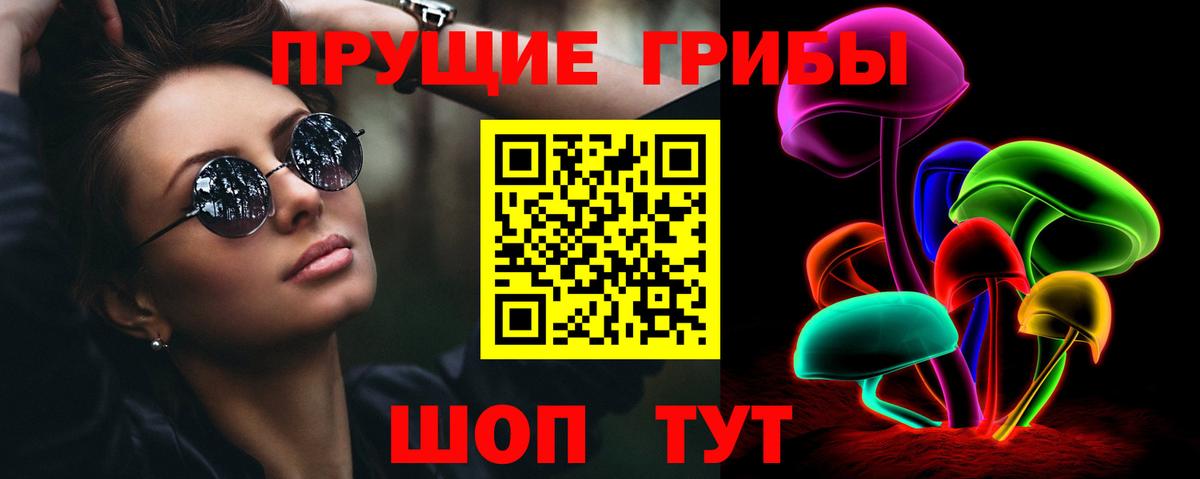 Псилоцибиновые грибы прущие грибы Геленджик